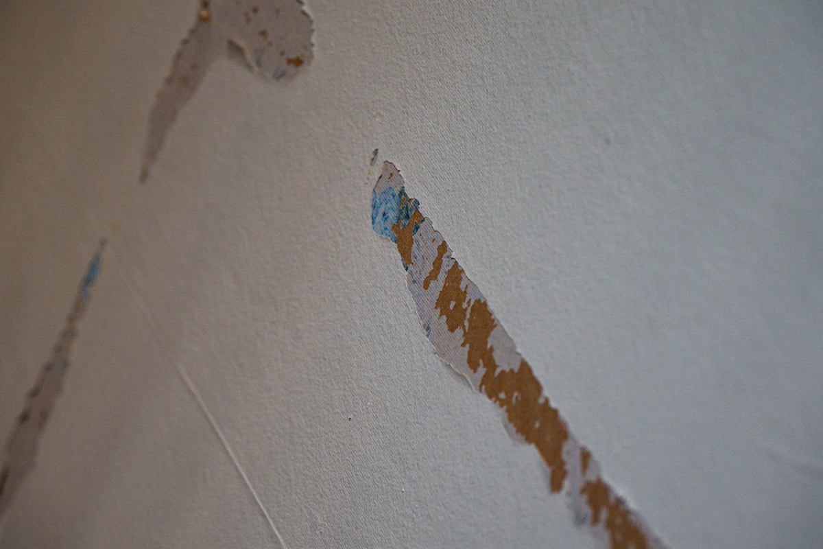 Basement Water Removal service in Baton Rouge, LA